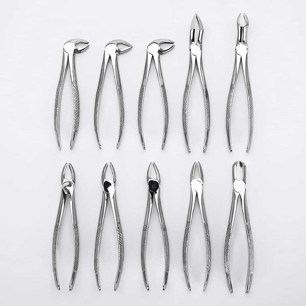 Dental Extraction Forceps Kit for Adults Tooth Forceps set of 10