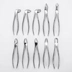 Dental Extraction Forceps Kit for Adults Tooth Forceps set of 10
