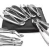 Dental Extraction Forceps Kit for Adults Tooth Forceps set of 10